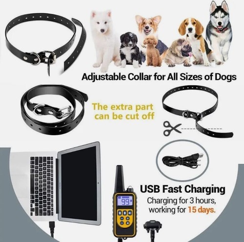 800m electric pet - pet, dog