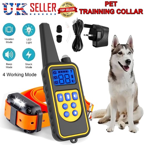 800m electric pet - 800m, dog