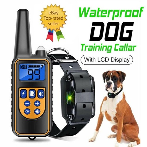 2600ft electric pet - pet, dog