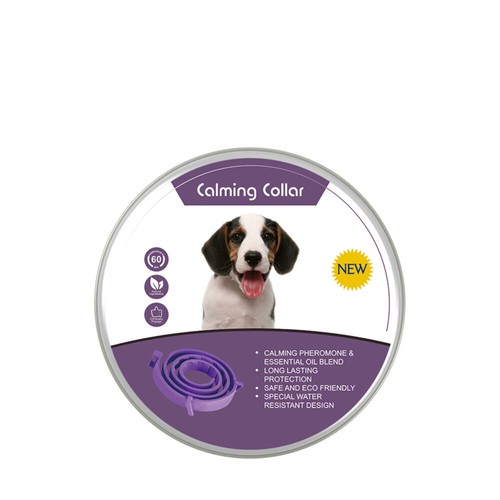 Electric dog pet - dog, training