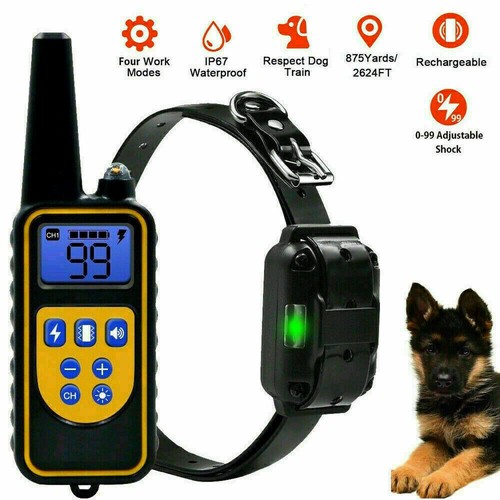 Dog training anti - training, anti-bark