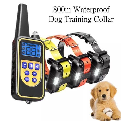 800m electric pet - 800m,