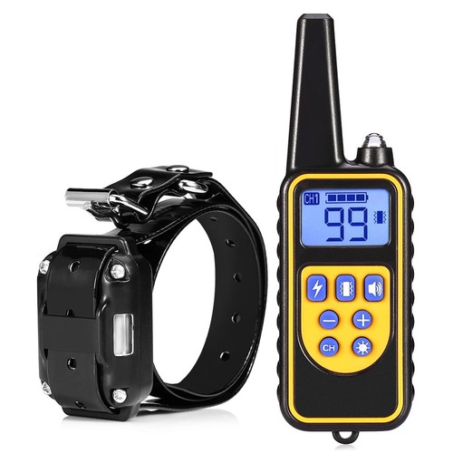 800m electric pet - 800m, training