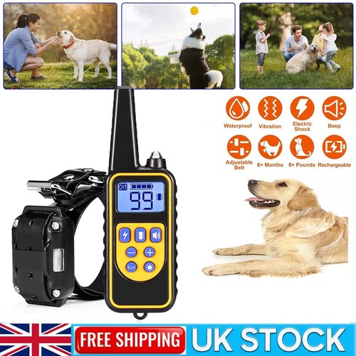 800m electric pet - electric, dog
