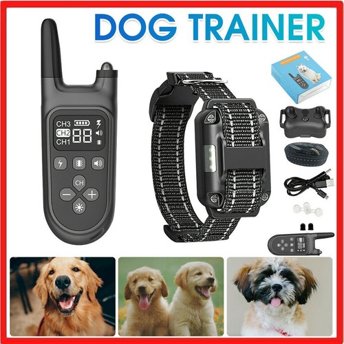 Rechargeable 800m remote pet - rechargeable,