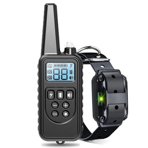 Electric dog training - training, collar