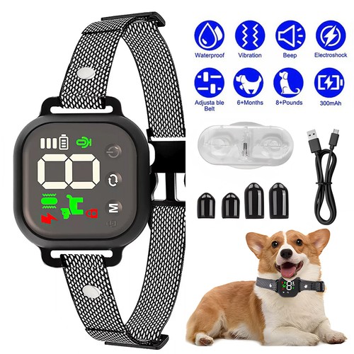 Smart electric dog - dog, training