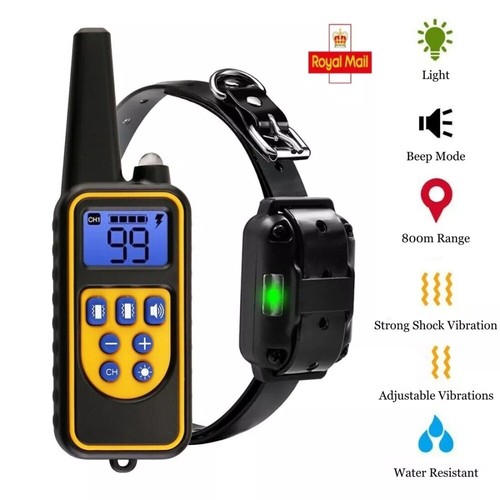 800m electric pet - pet, dog