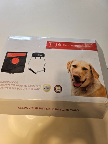 Electric dog control - control, running