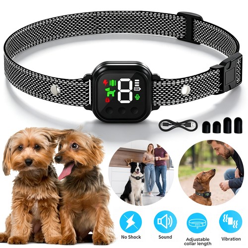 Electric dog training - training, collar