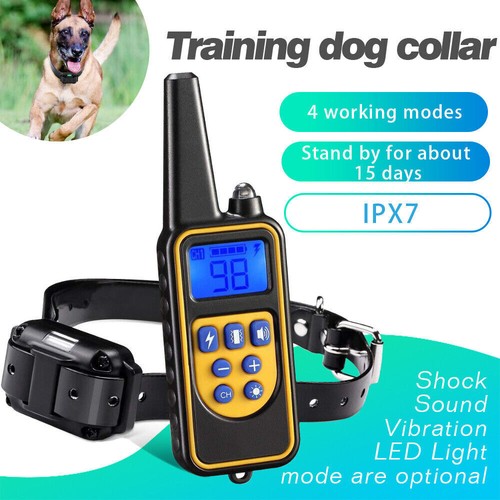 800m electric pet - 800m, training