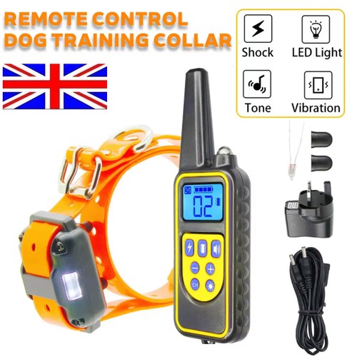 Waterproof dog training - dog,