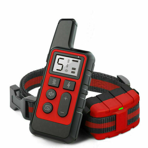 800m electric pet dog - dog, training