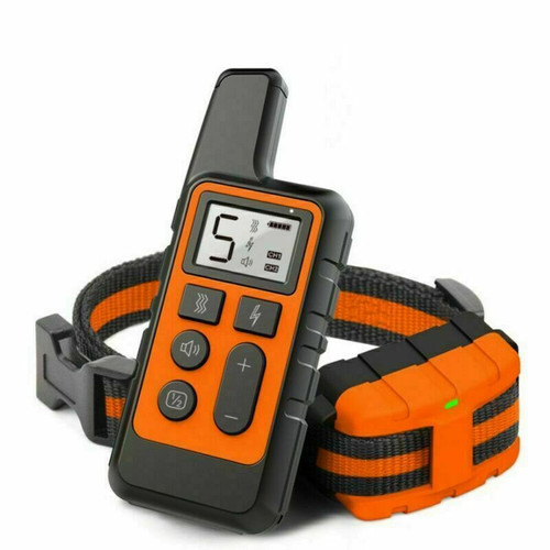 Dog training collar - dog,
