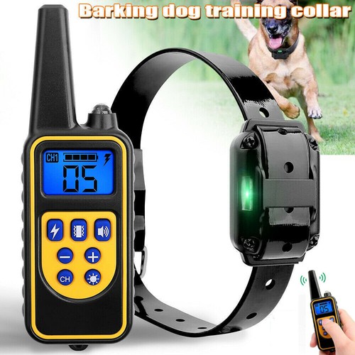 800m electric pet - electric, dog